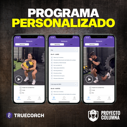 Proyecto Columna - Programa Personalizado